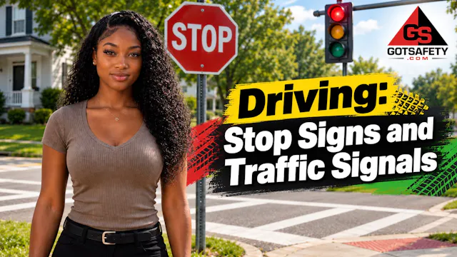 Driving: Stop Signs and Traffic Signals