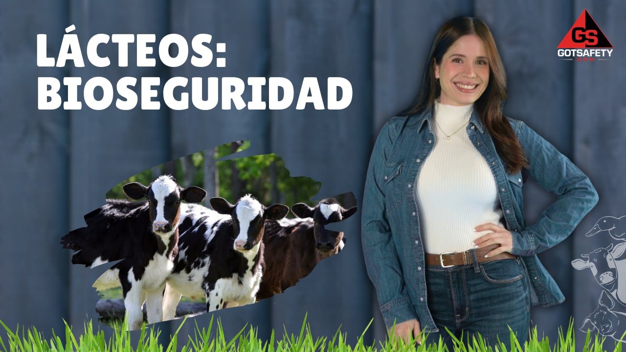 Dairy: Biosecurity Safety - sp