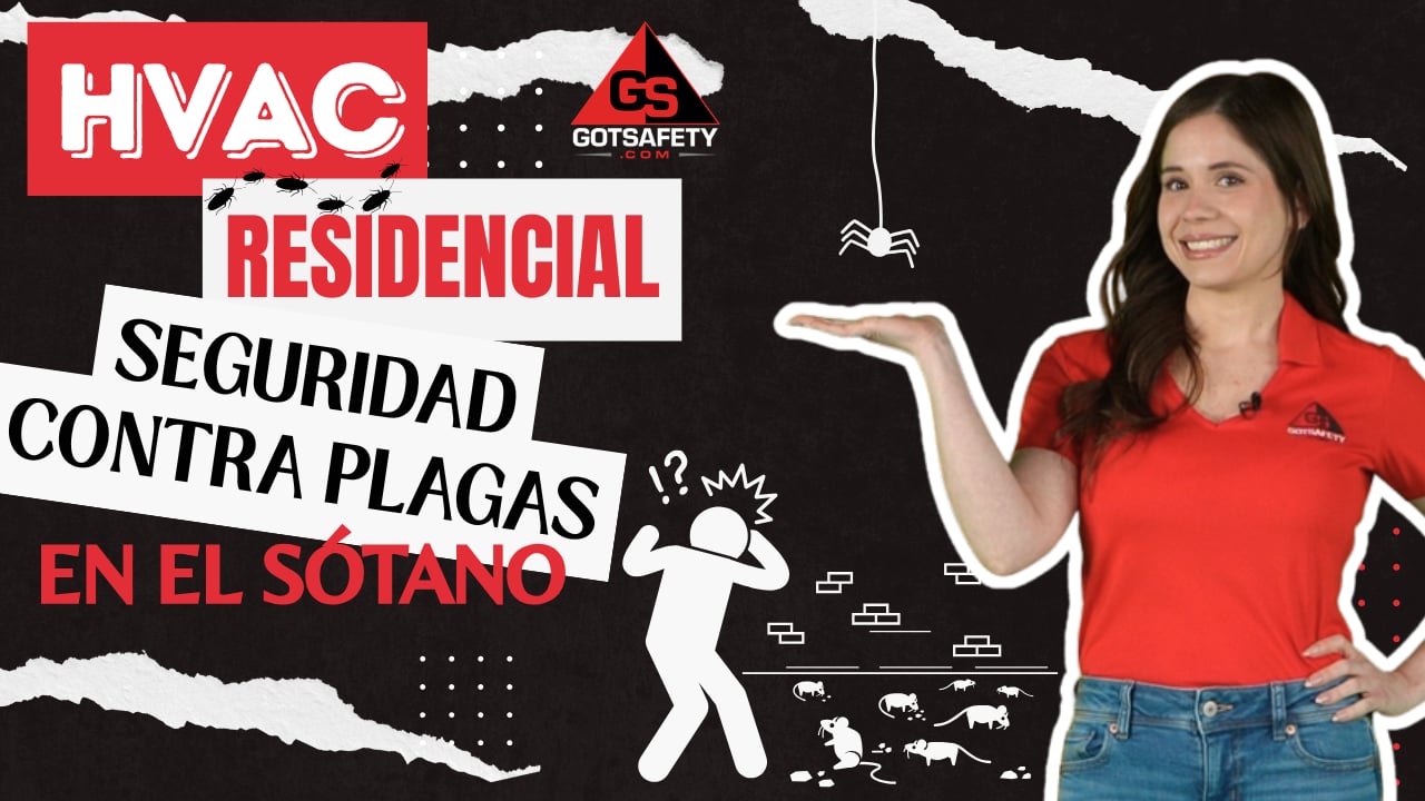 HVAC Residential: Basement Pest Safety - sp