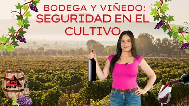 Winery and Vineyard: Cultivation Safe...