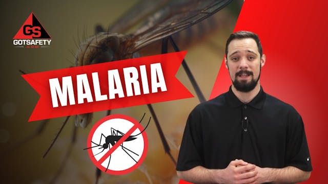 Malaria