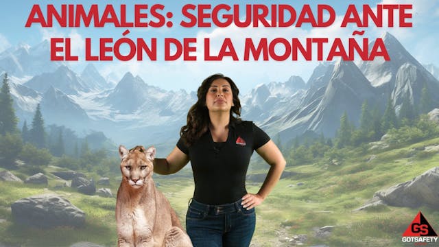 Animals: Mountain Lion Safety - sp