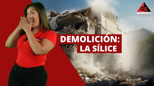 Demolition: Silica - sp