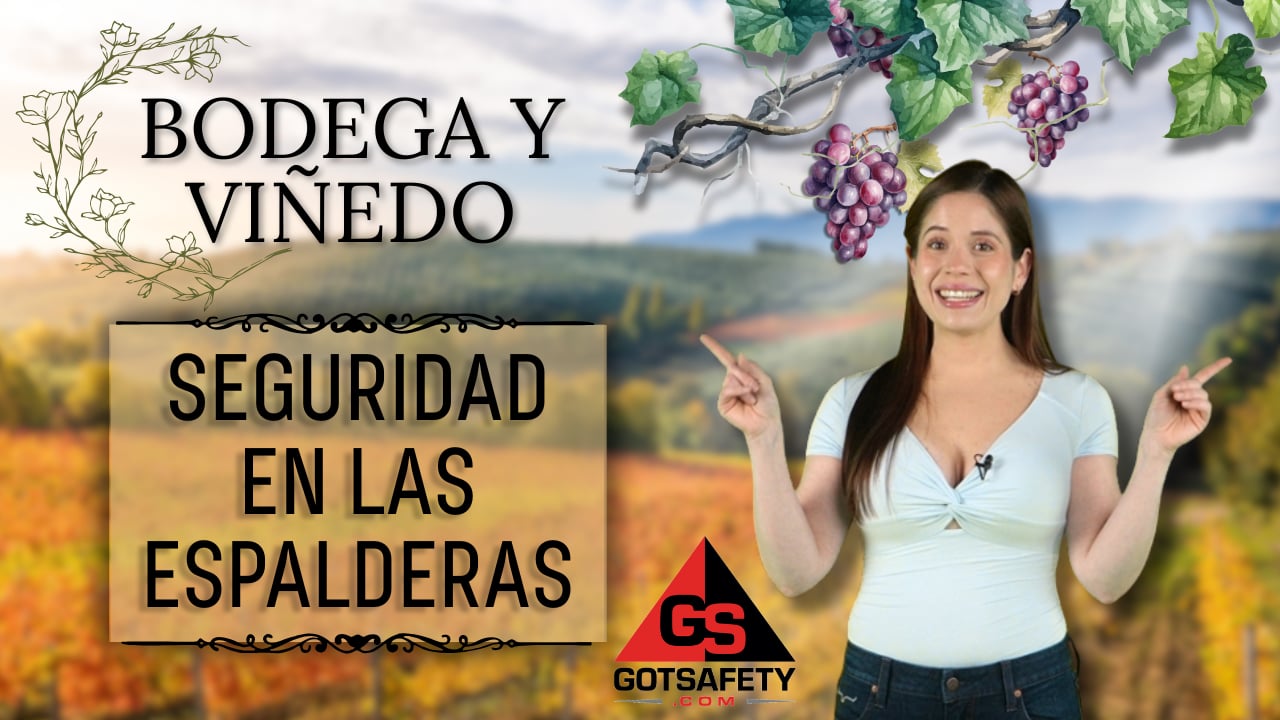 Winery and Vineyard: Trellising Safety - sp