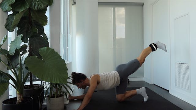 BBL: ONLY ANKLEWEIGHTS (EXPRESS)