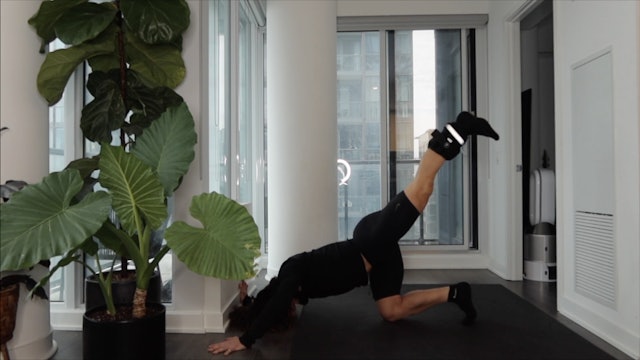 DAY 14: ANKLE WEIGHTS ONLY | BBL