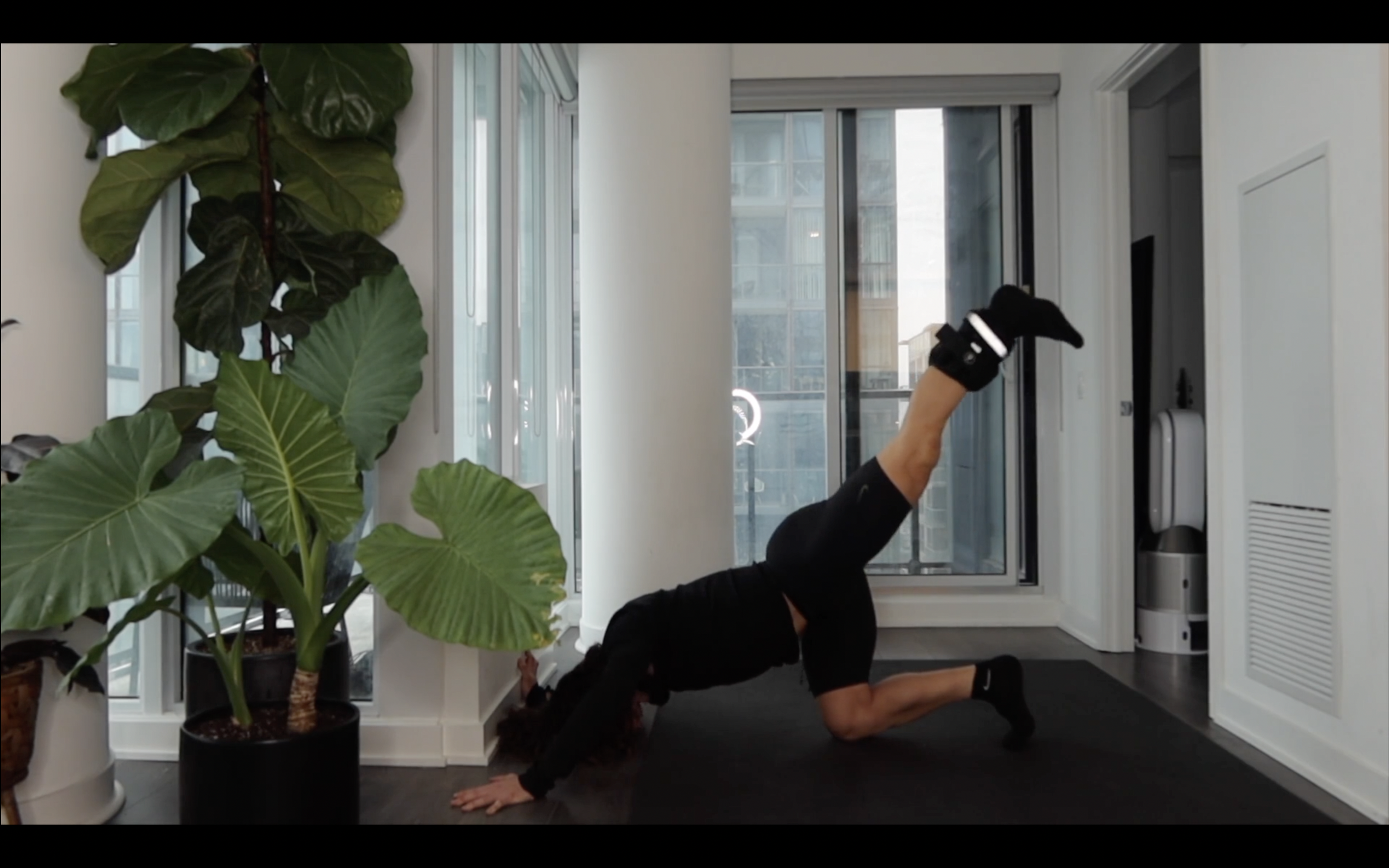 DAY 14: ANKLE WEIGHTS ONLY | BBL (EXPRESS)