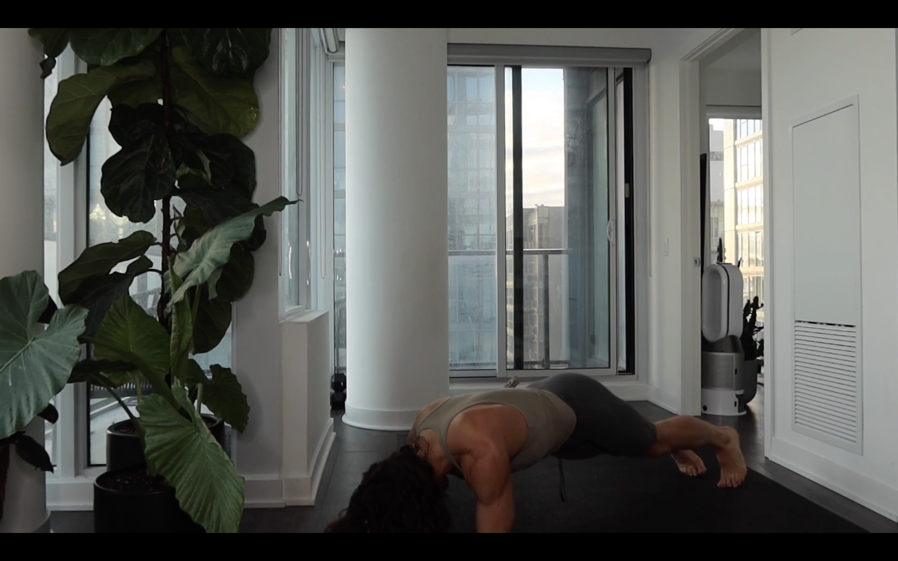 ARMS+ABS : ARMS+CHARMS (EXPRESS)