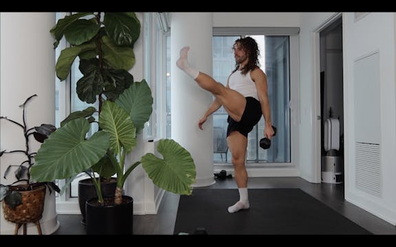 FULL BODY WERK: Flabby to Fabby (EXPR...