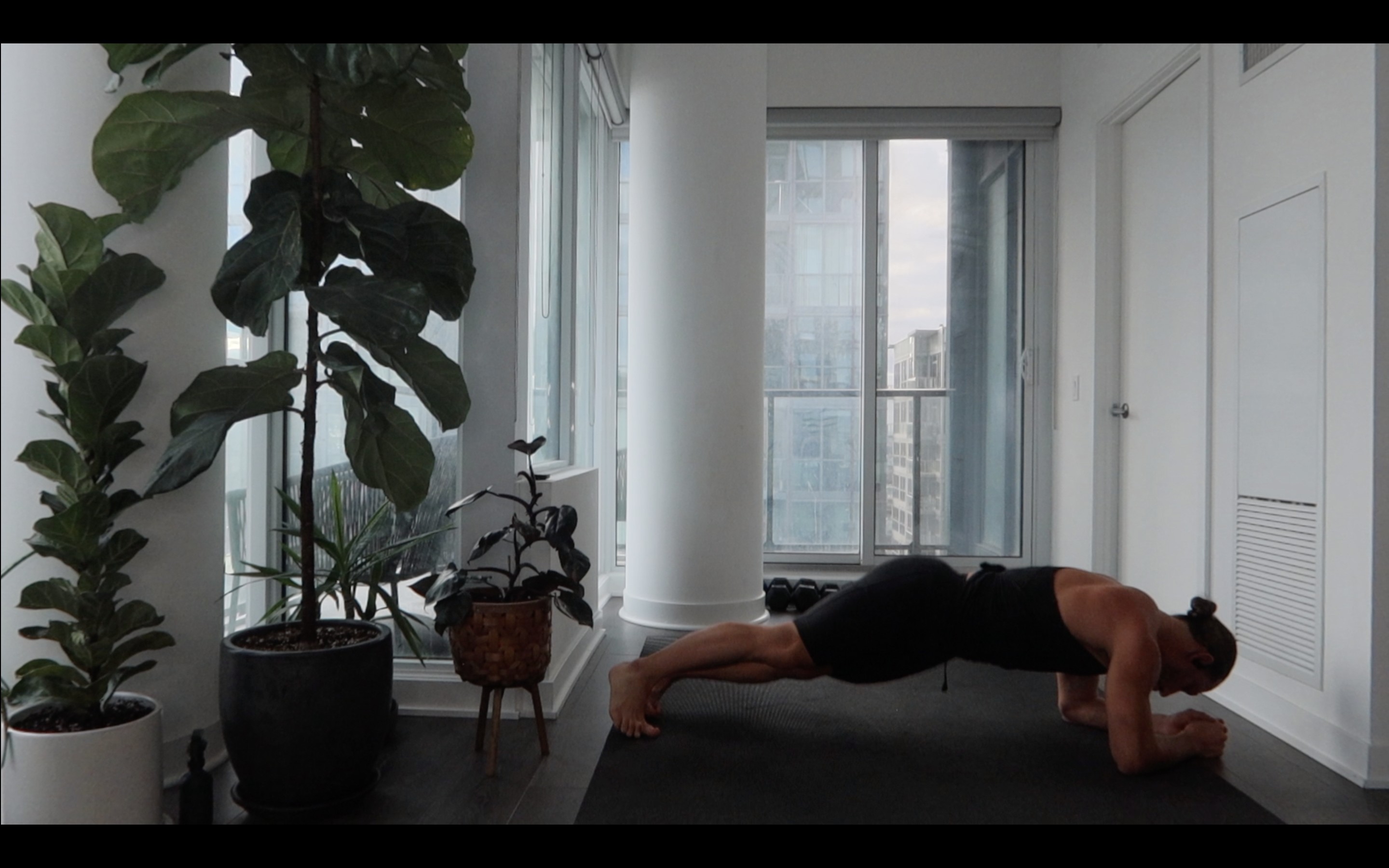 DAY 30 - ARMS+ABS (EXPRESS)