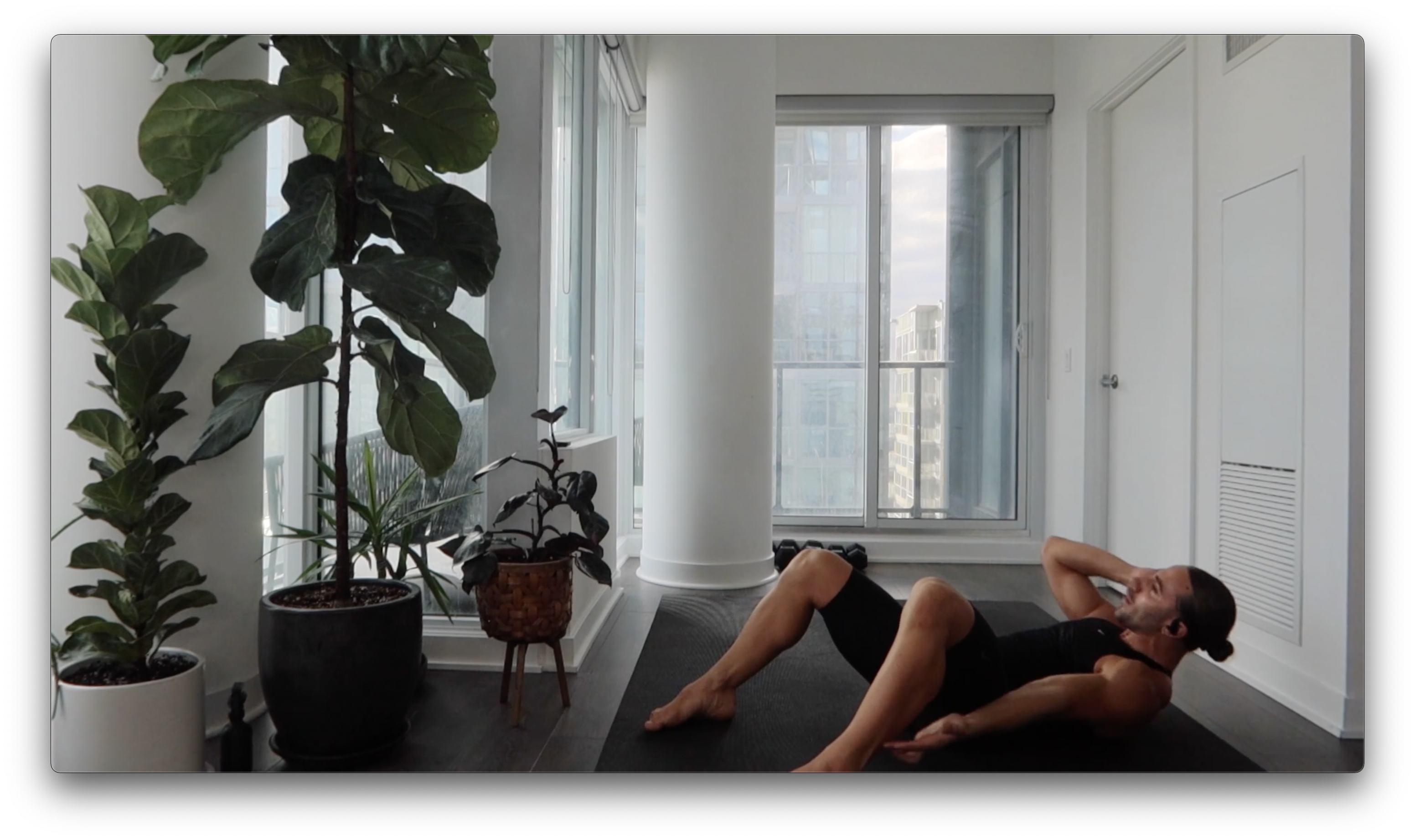 DAY 65: ARMS+ABS (EXPRESS)