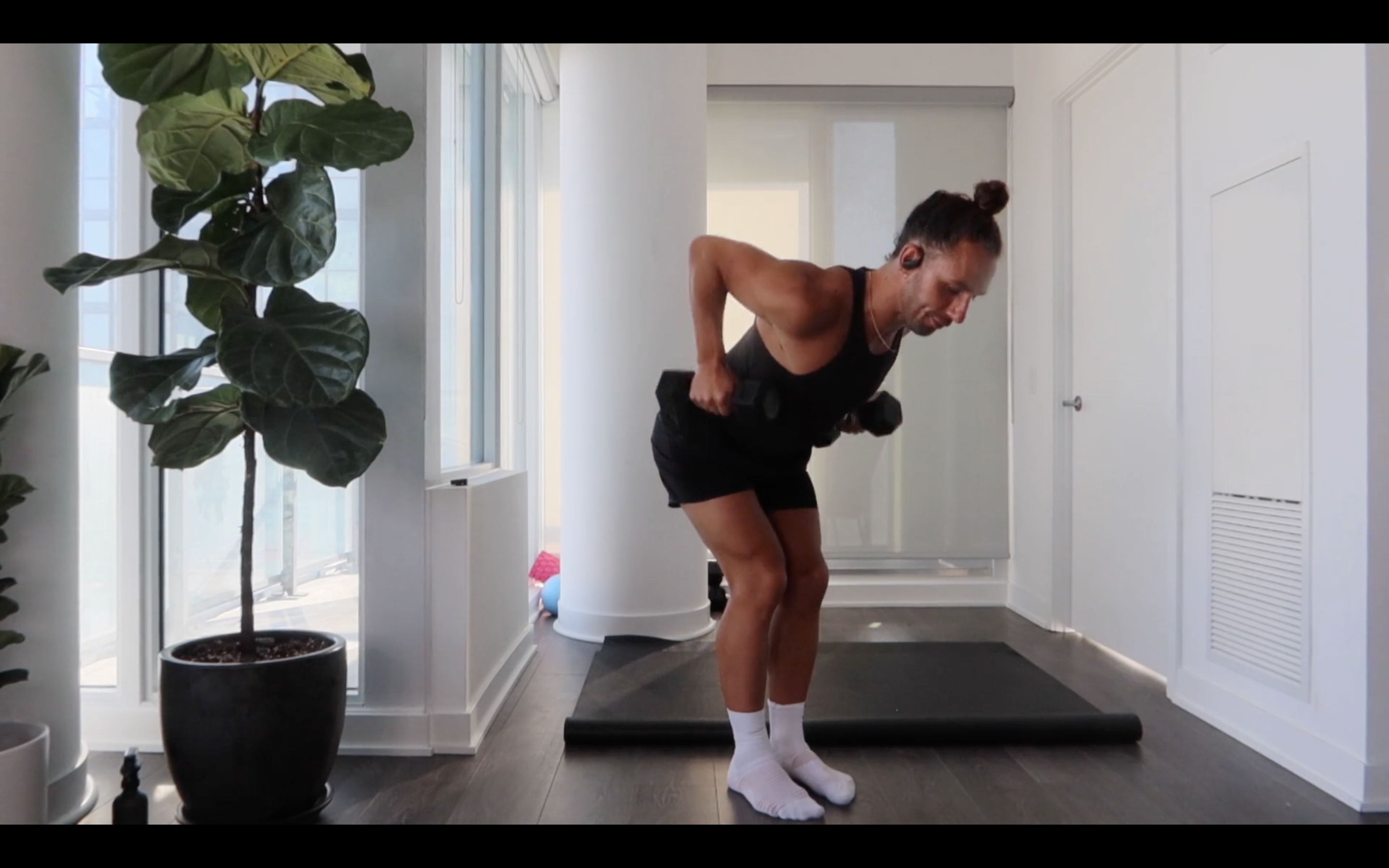 ARMS+ABS (11) - AA ASSAULT 