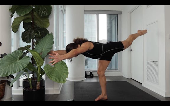 CONDITIONING : HOT AF