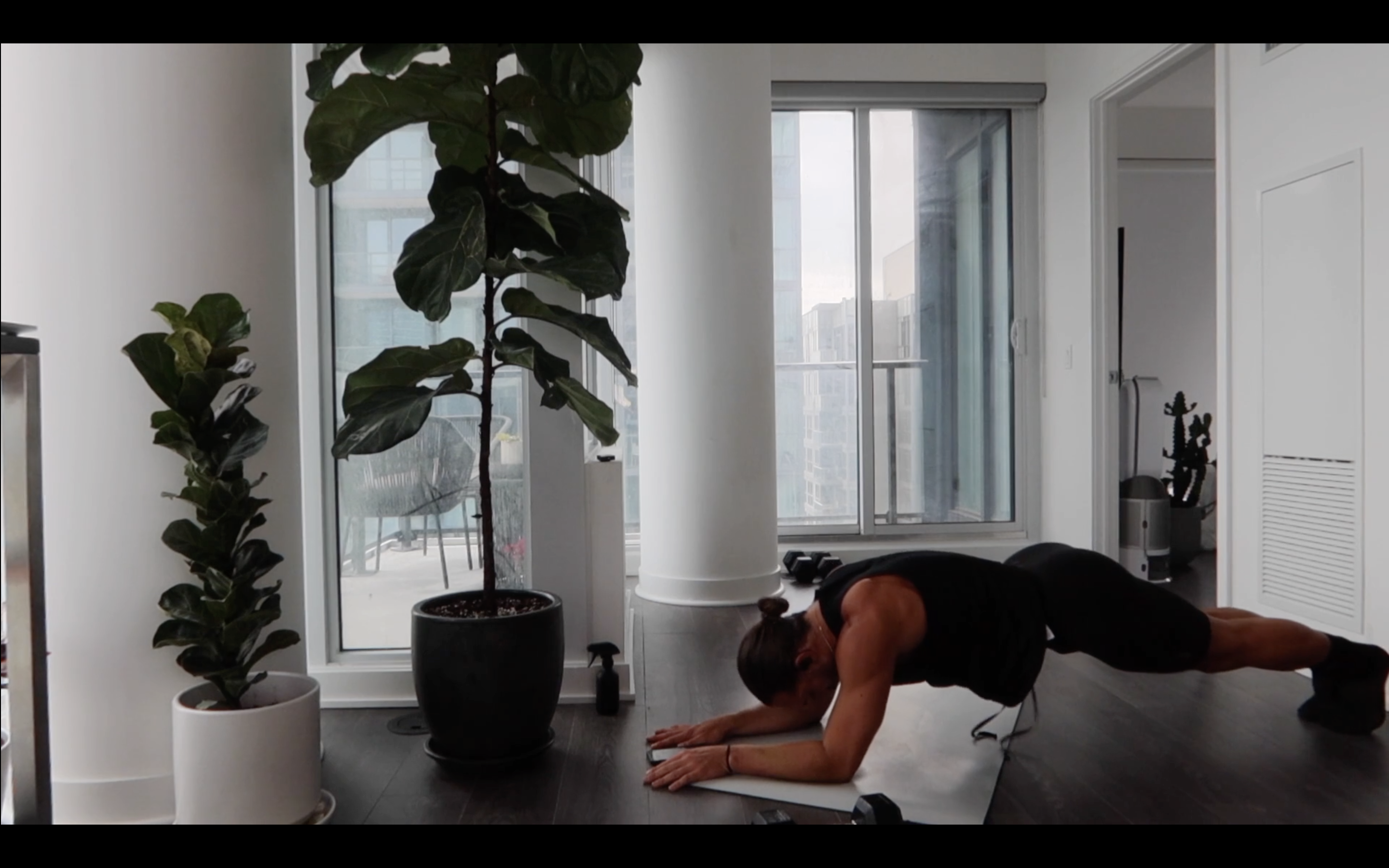 DAY 23: ARMS+ABS (EXPRESS)