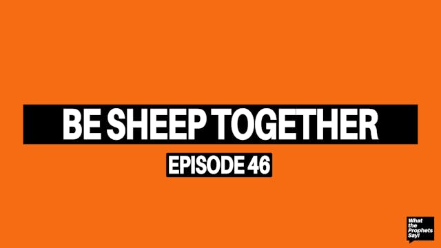 Be Sheep Together - What the Prophets...