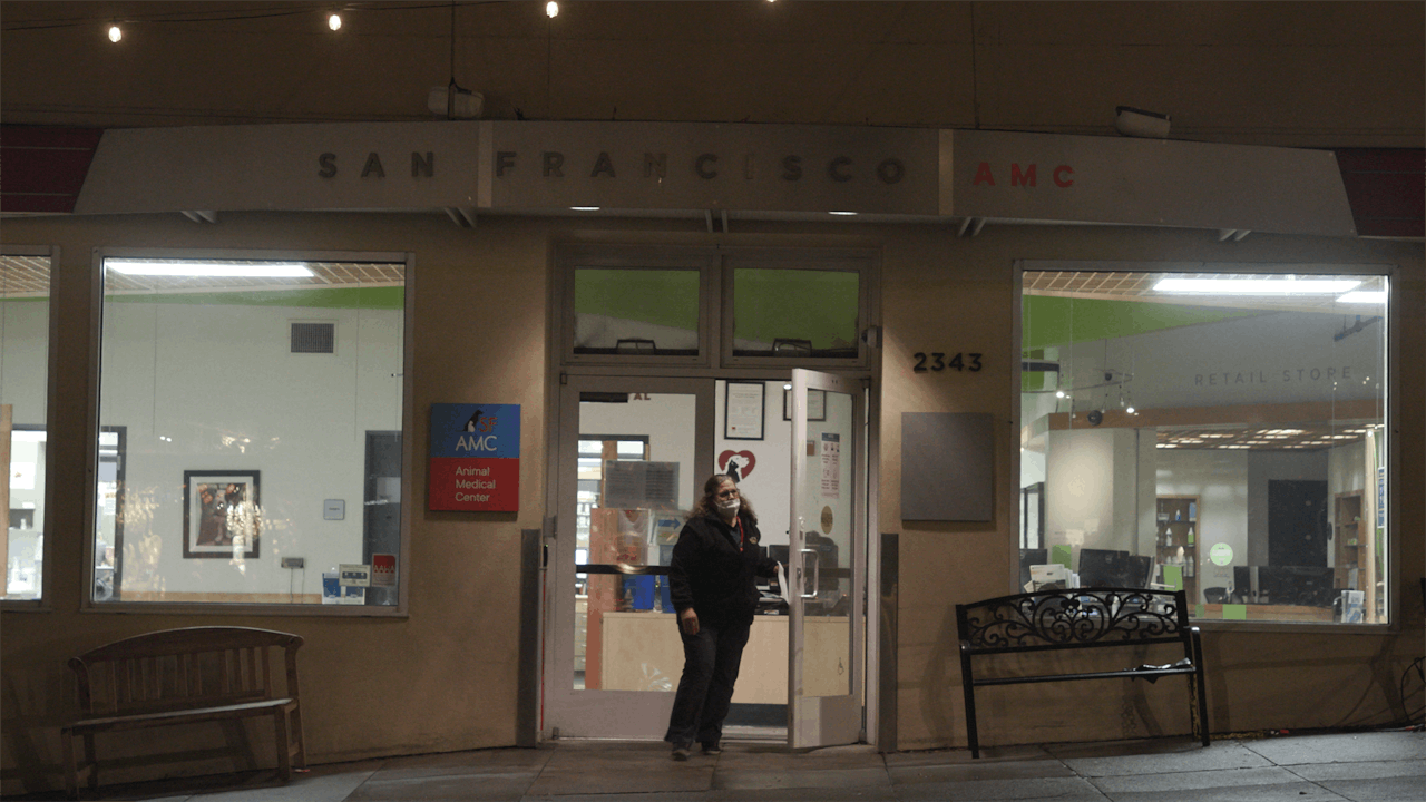 The Weight They Carry