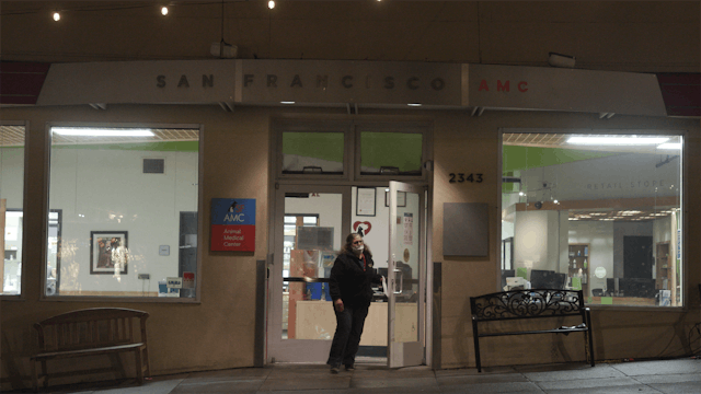 The Weight They Carry – Short Documentary