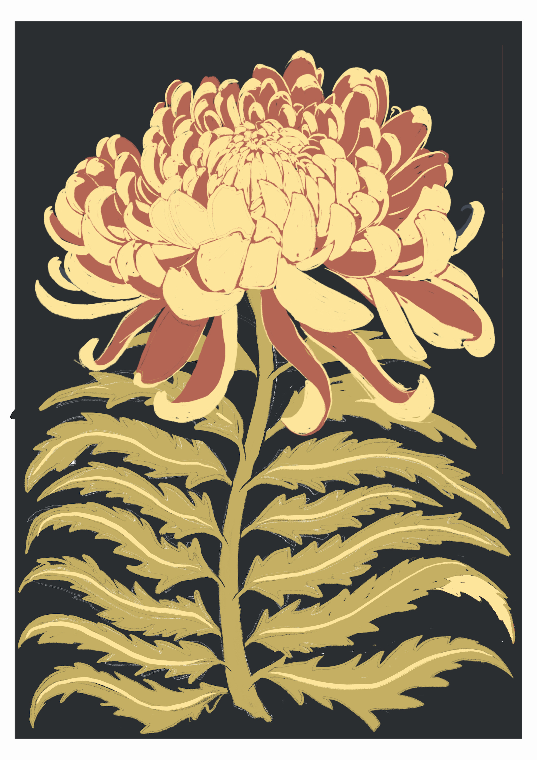 Chrysanthemum_design_Grace_Gillespie.JPG