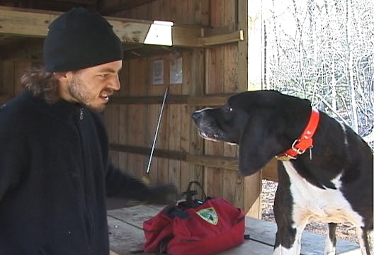 Adventures on the Appalachian Trail: 2k to Maine