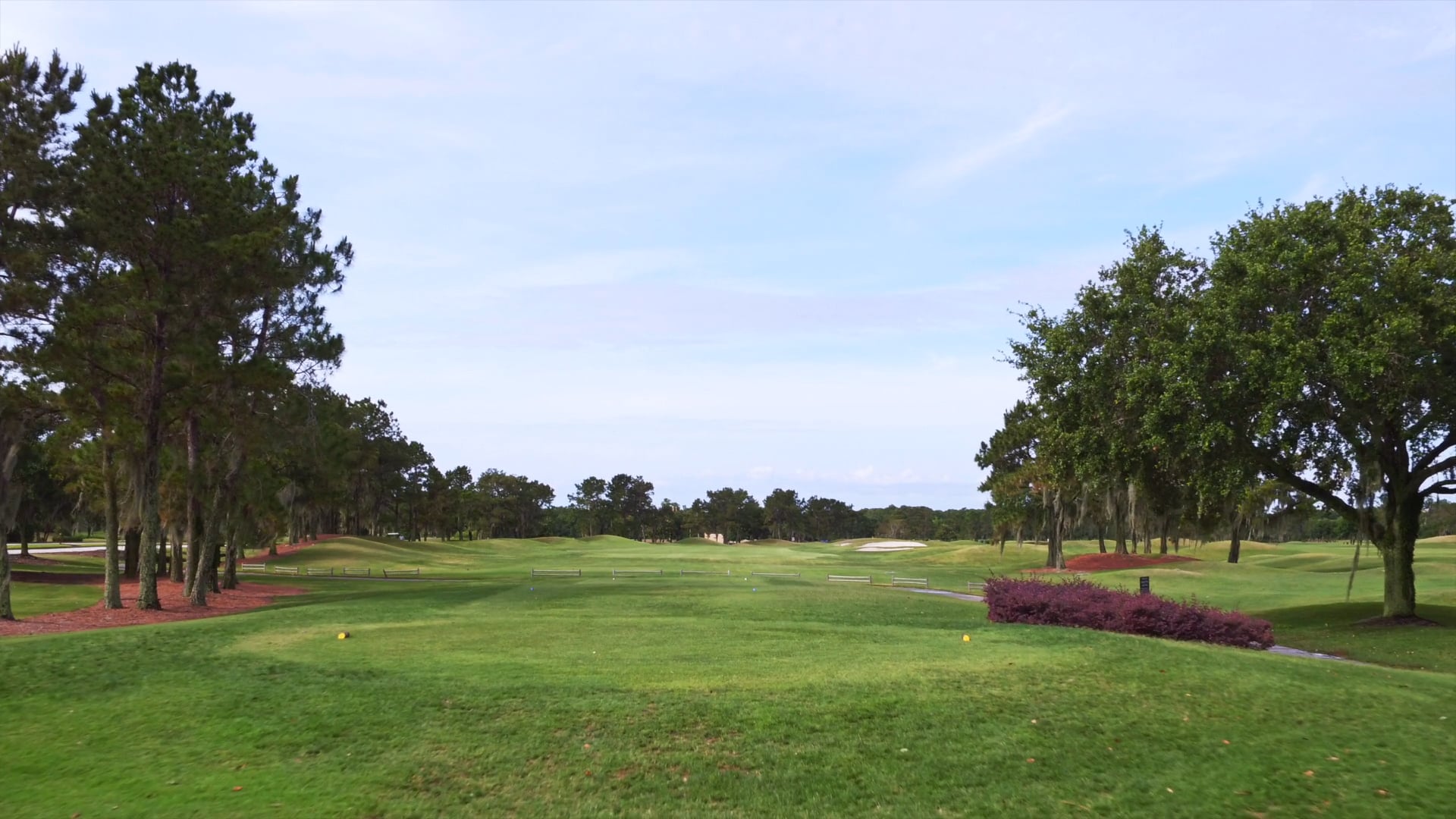 Laws of Simplicity—The Secret to Speed