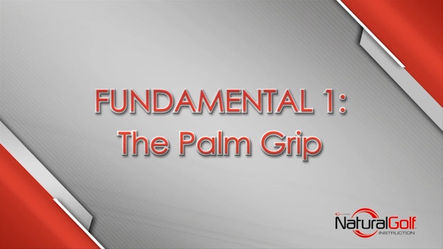 Fundamentals_01_The Palm Grip - segment