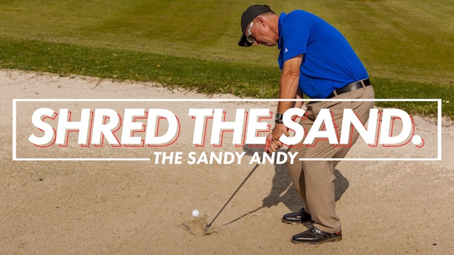 Sandy Andy