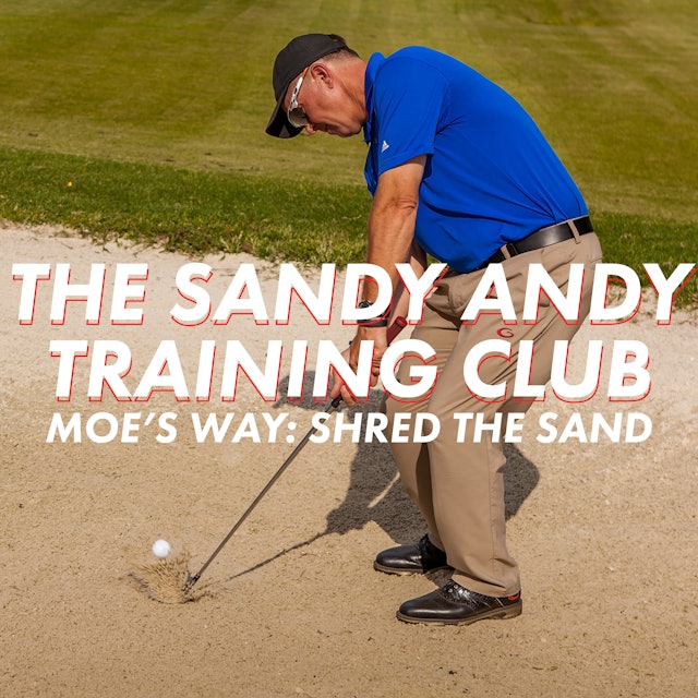 Sandy Andy