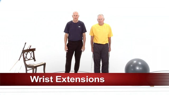 F&E 30 Arms and Wrists Exercises 30