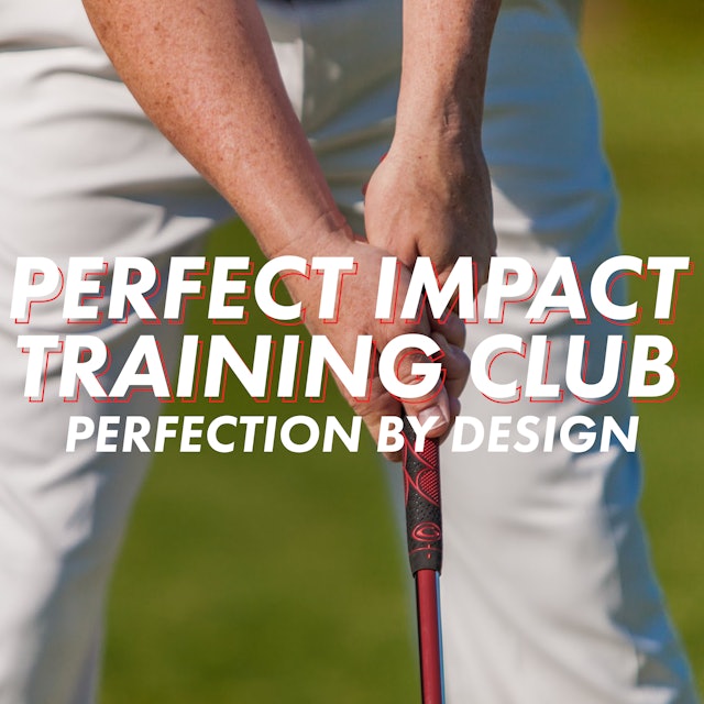 Perfect Impact Training Club
