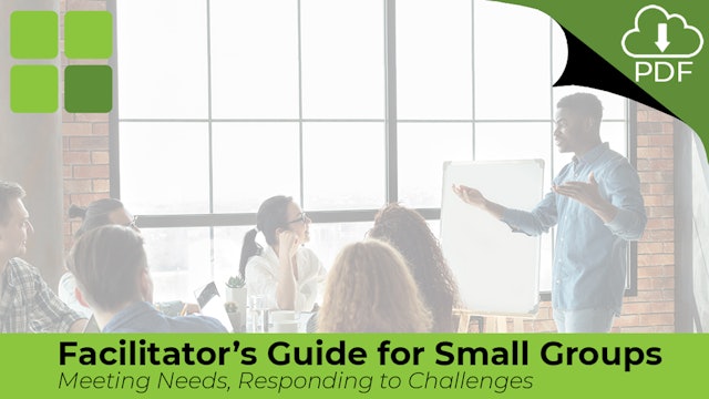 Facilitator's Guide for Small Groups.pdf