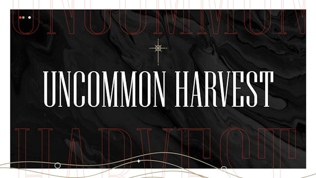 Cultivating Your Ground (Audio) - Pas...