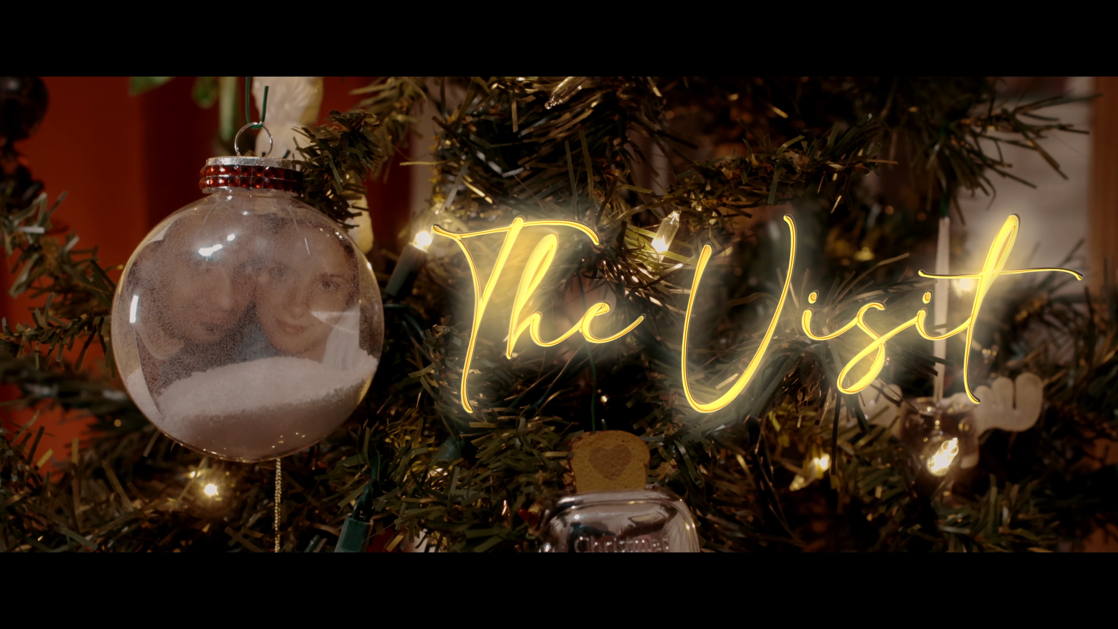 044 The Visit