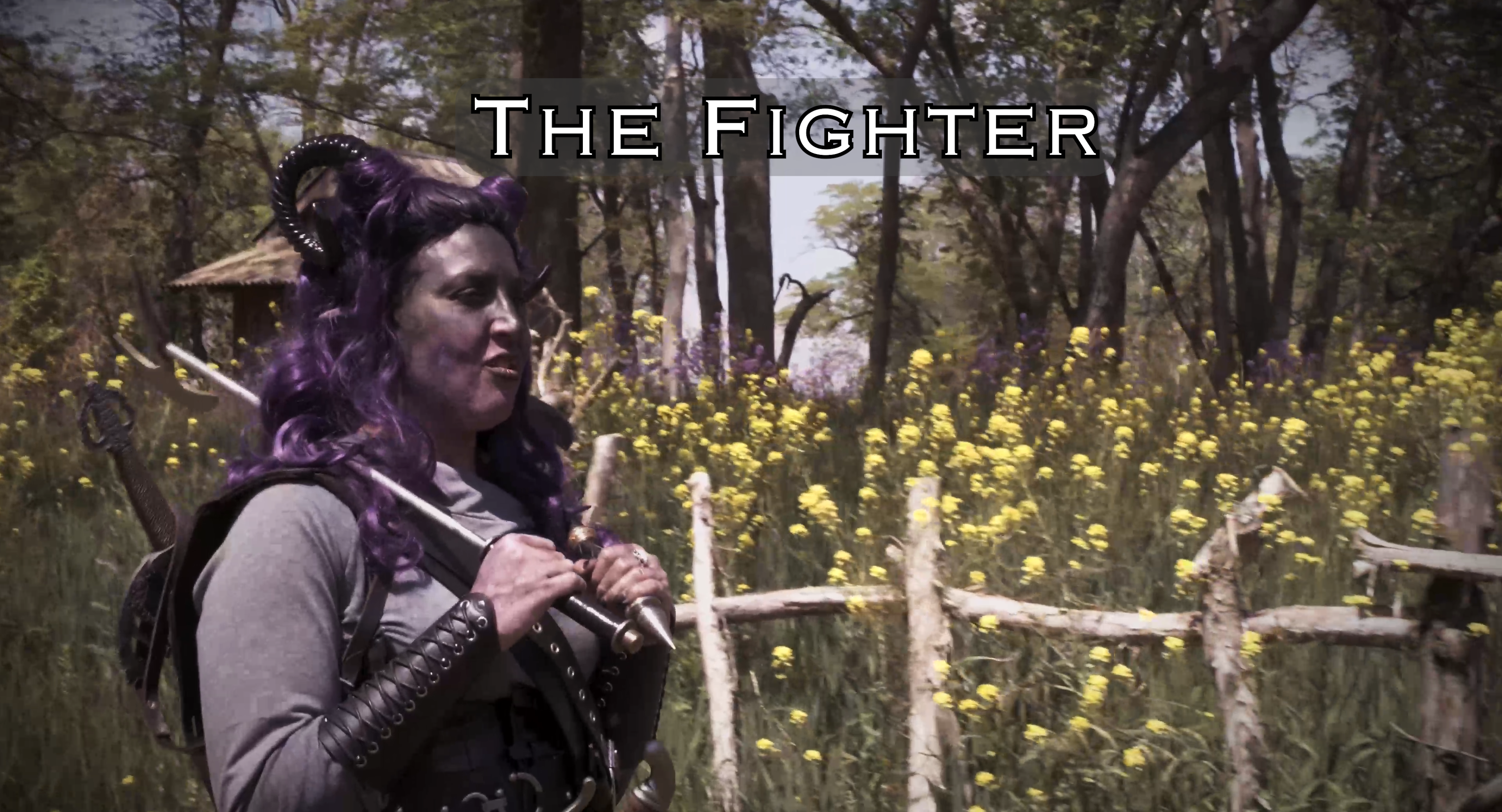 038 Inner Worlds: 106 The Fighter