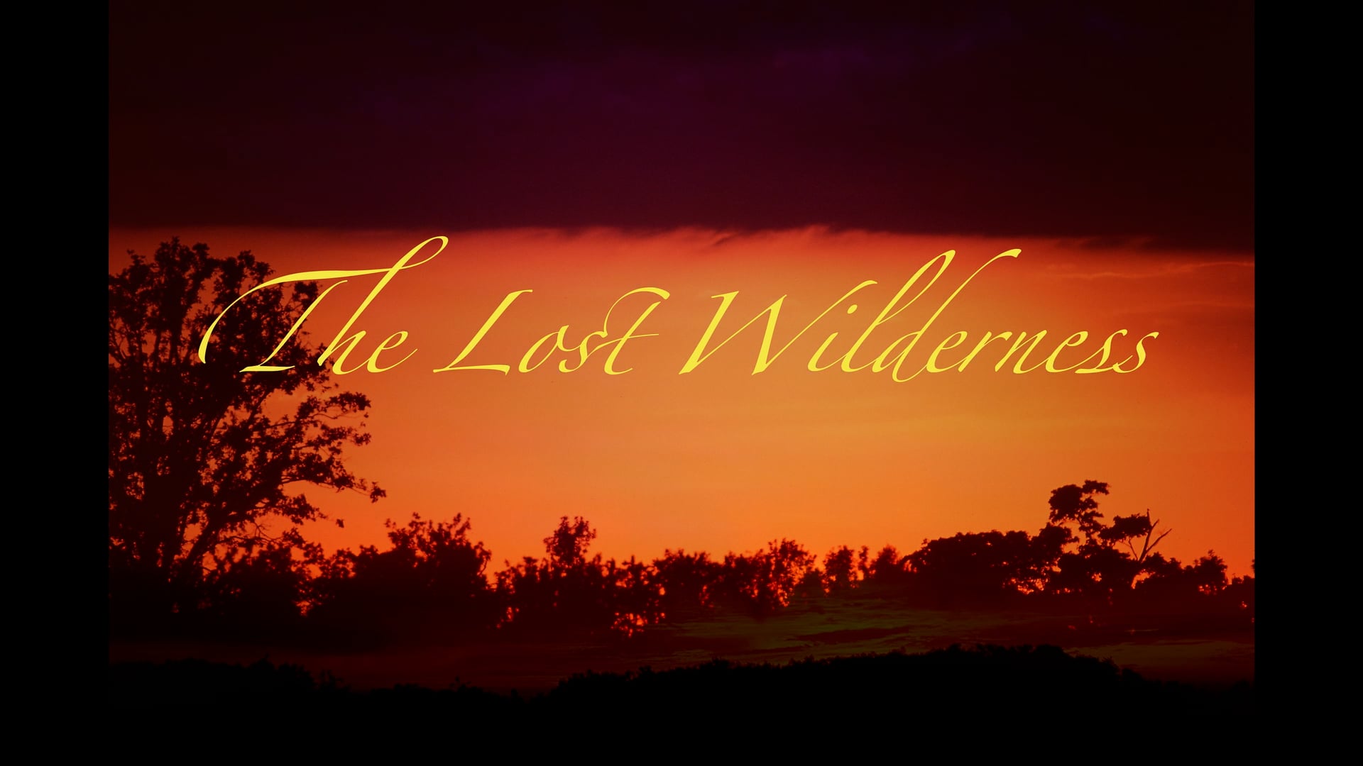 Lost Wilderness