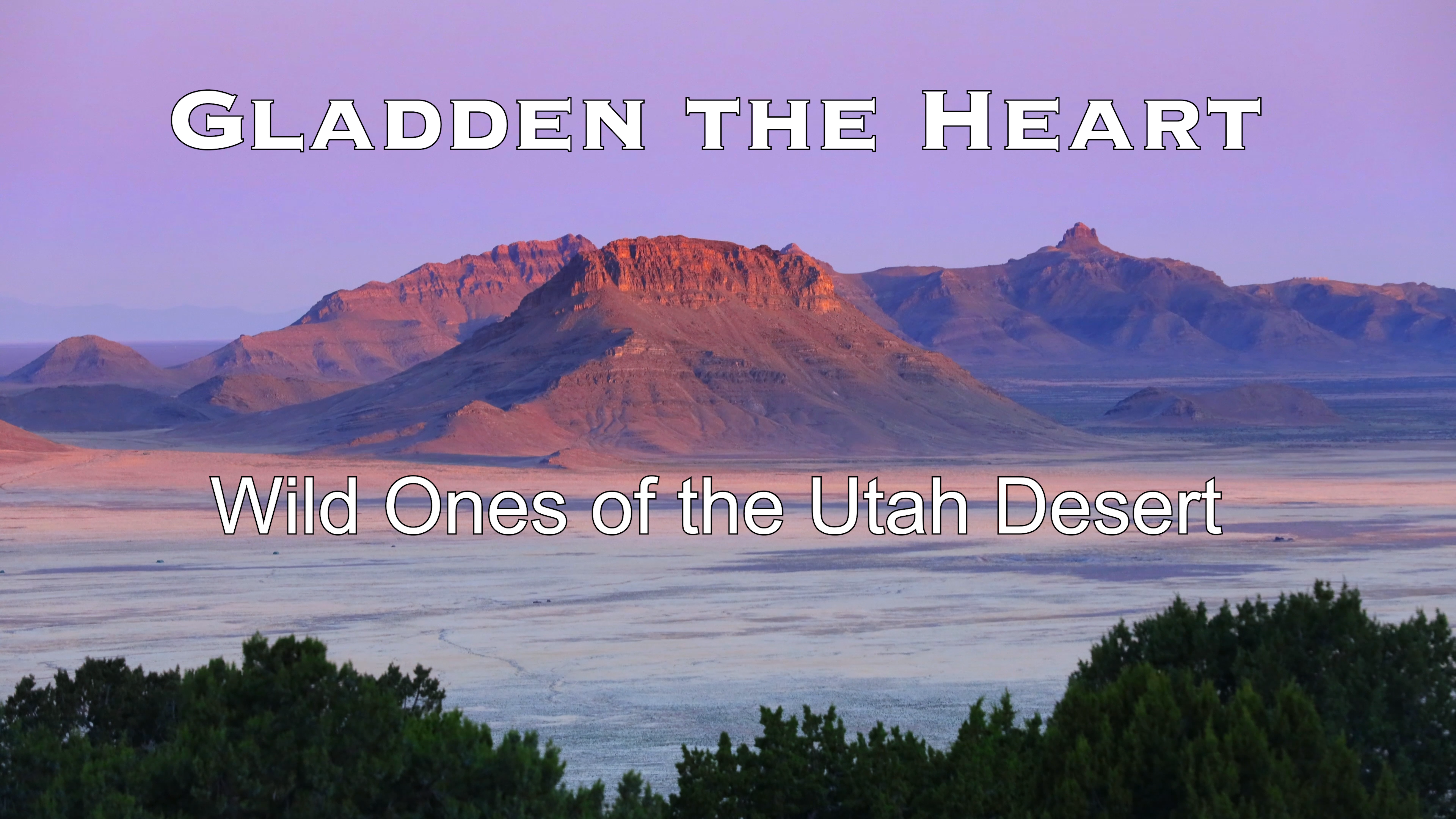043 Gladden the Heart: Wild Ones of the Utah Desert