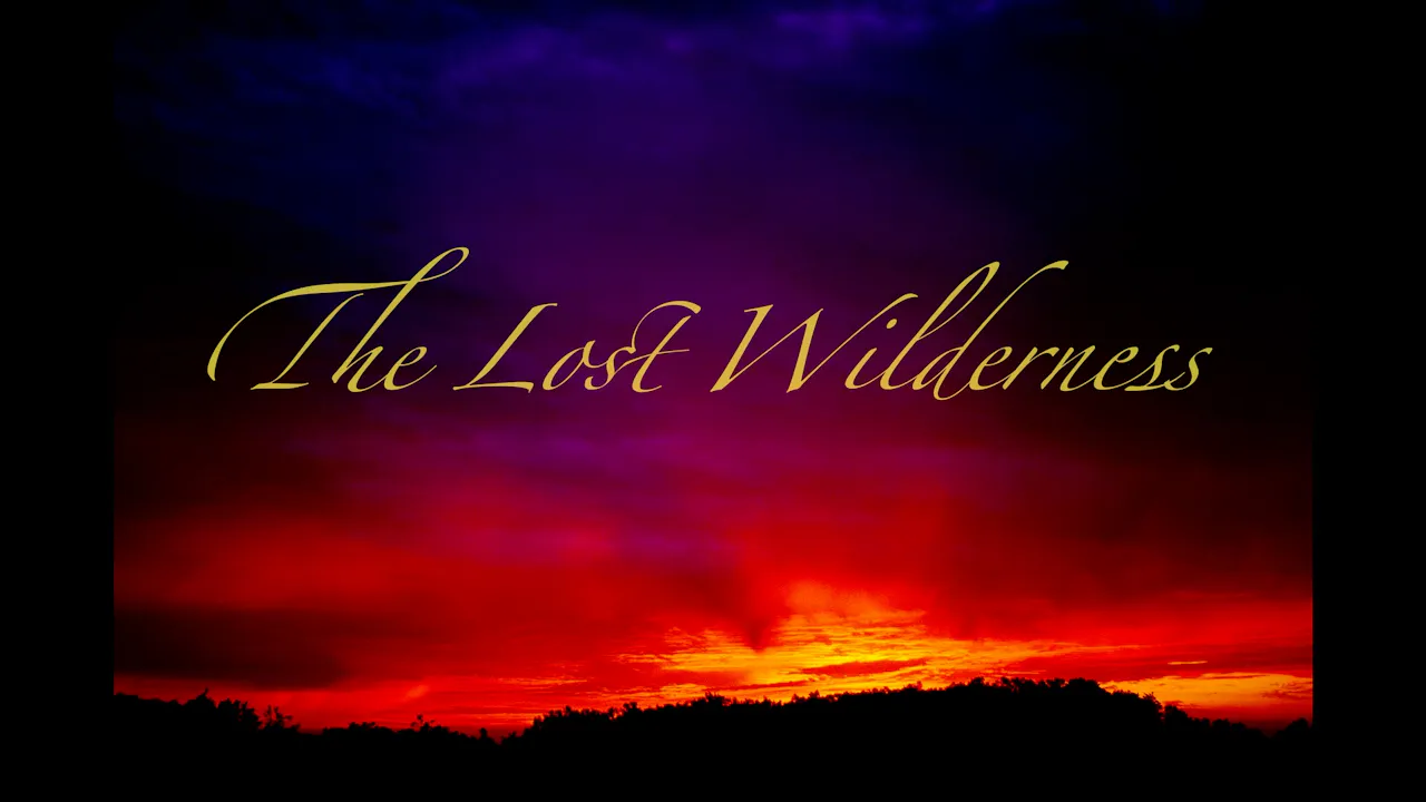 The Lost Wilderness