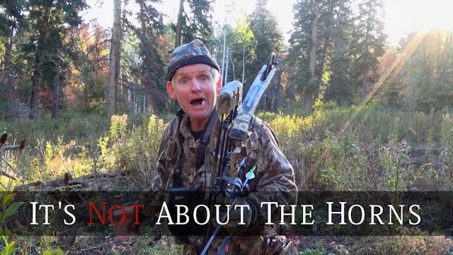 It's Not About The Horns