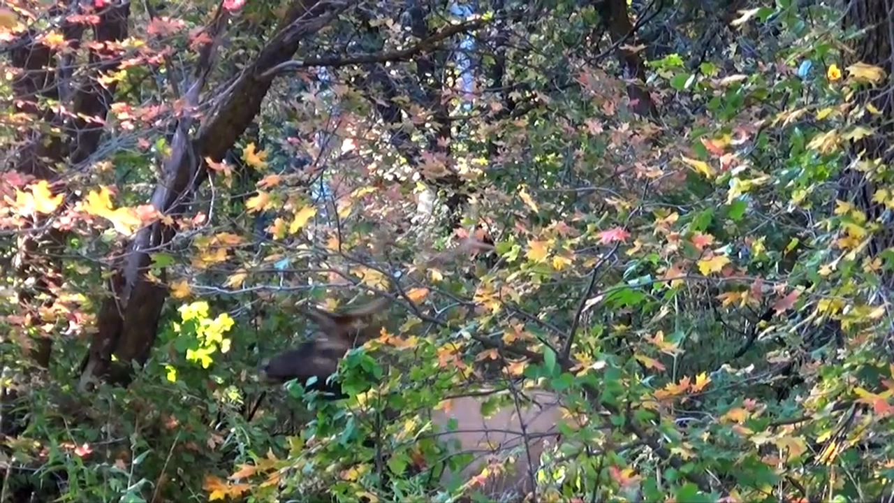 Special Feature 1: Highs & Lows