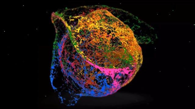 Save the Date! 28th September 2022