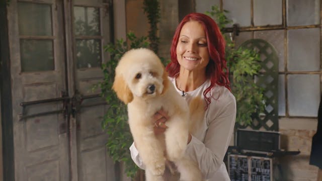 Essential Pet Care Guide