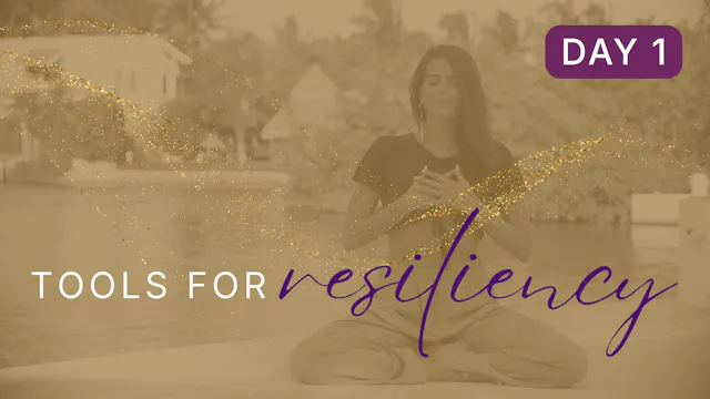 Day 1 - 5 Minutes Of Gratitude