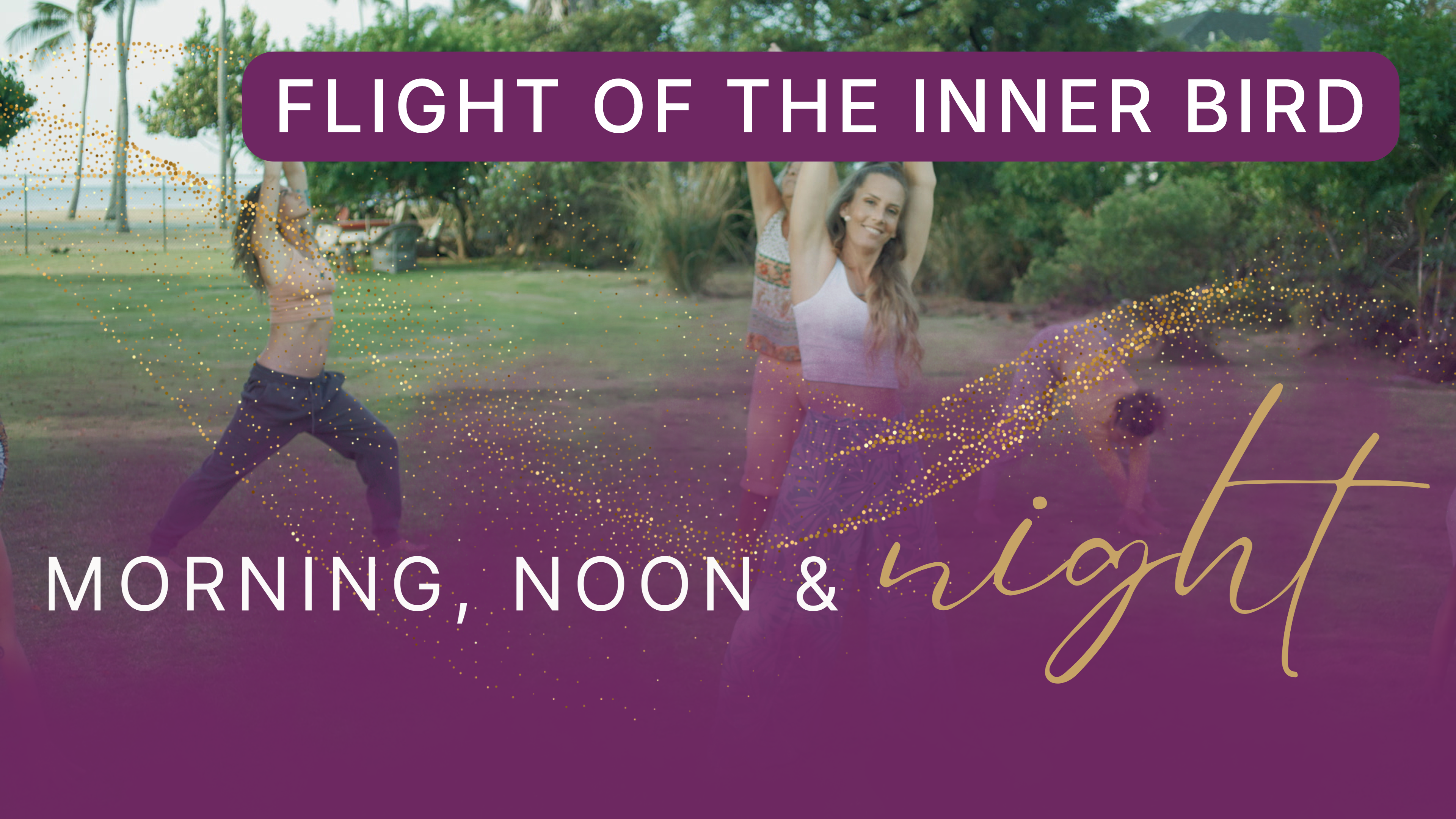 Flight Of The Inner Bird