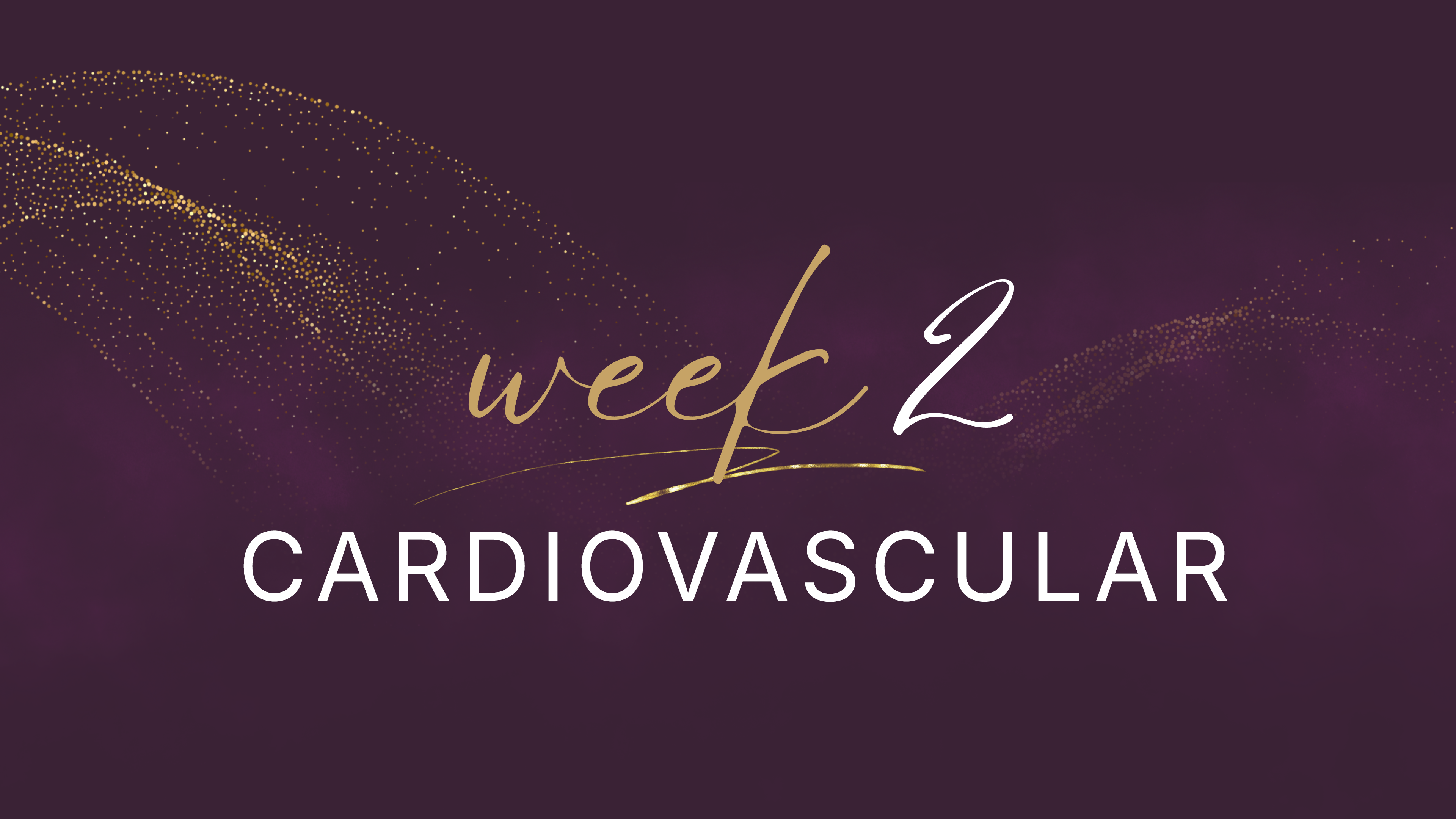 Elevate Your Fitness - Week 2 - Cardiovascular Fitness