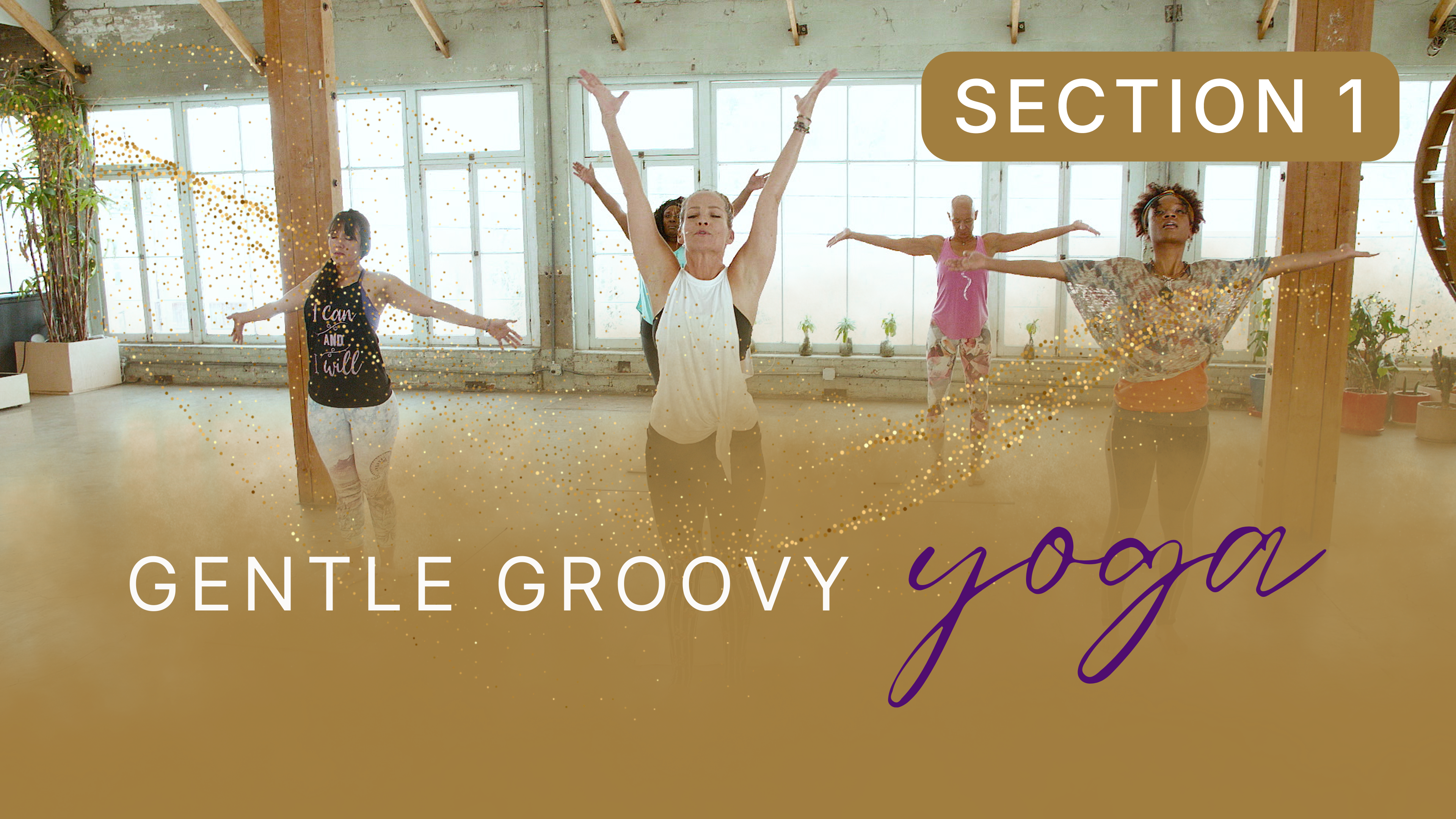 Gentle Groovy Yoga Section 1