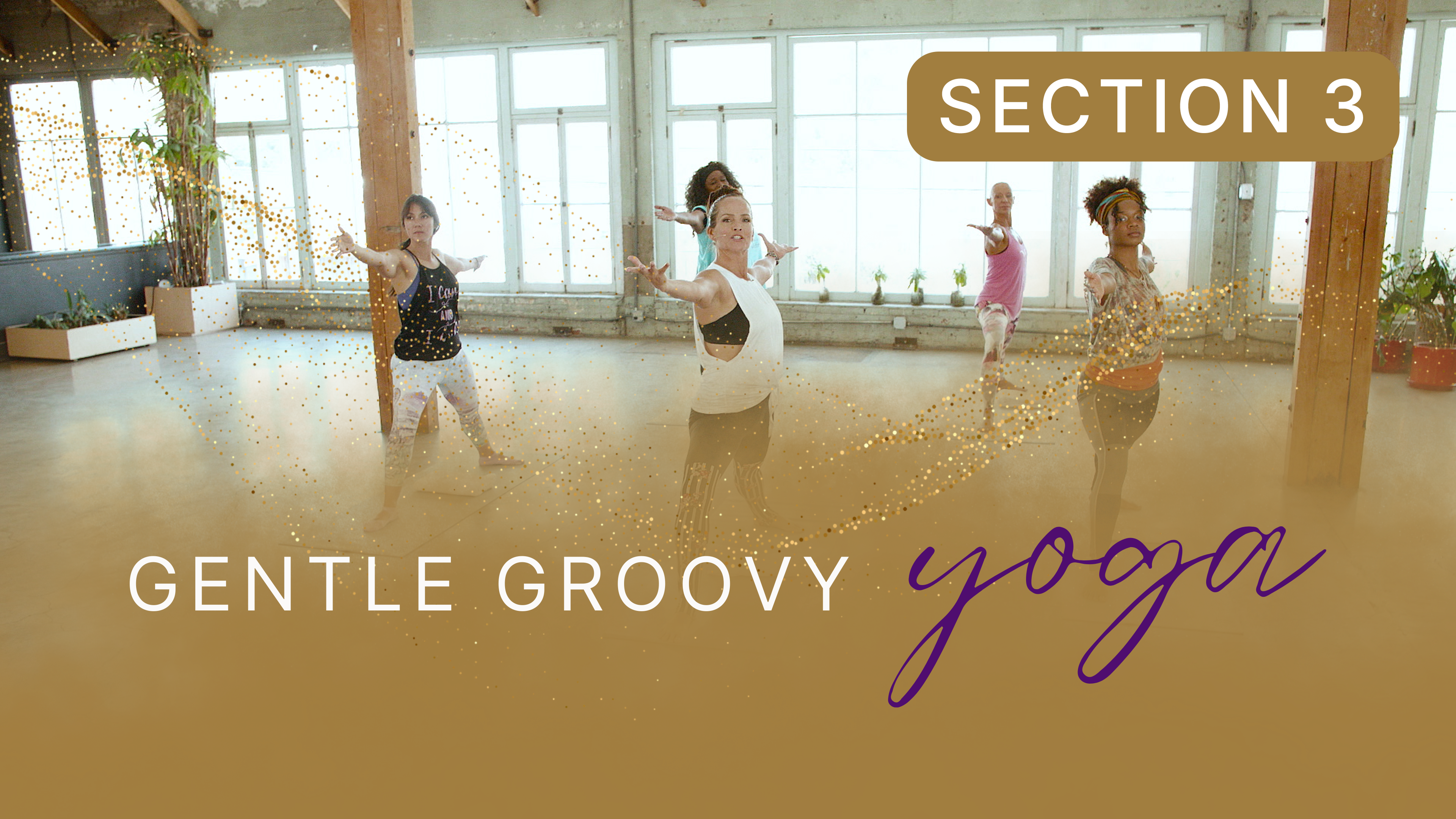 Gentle Groovy Yoga Section 3