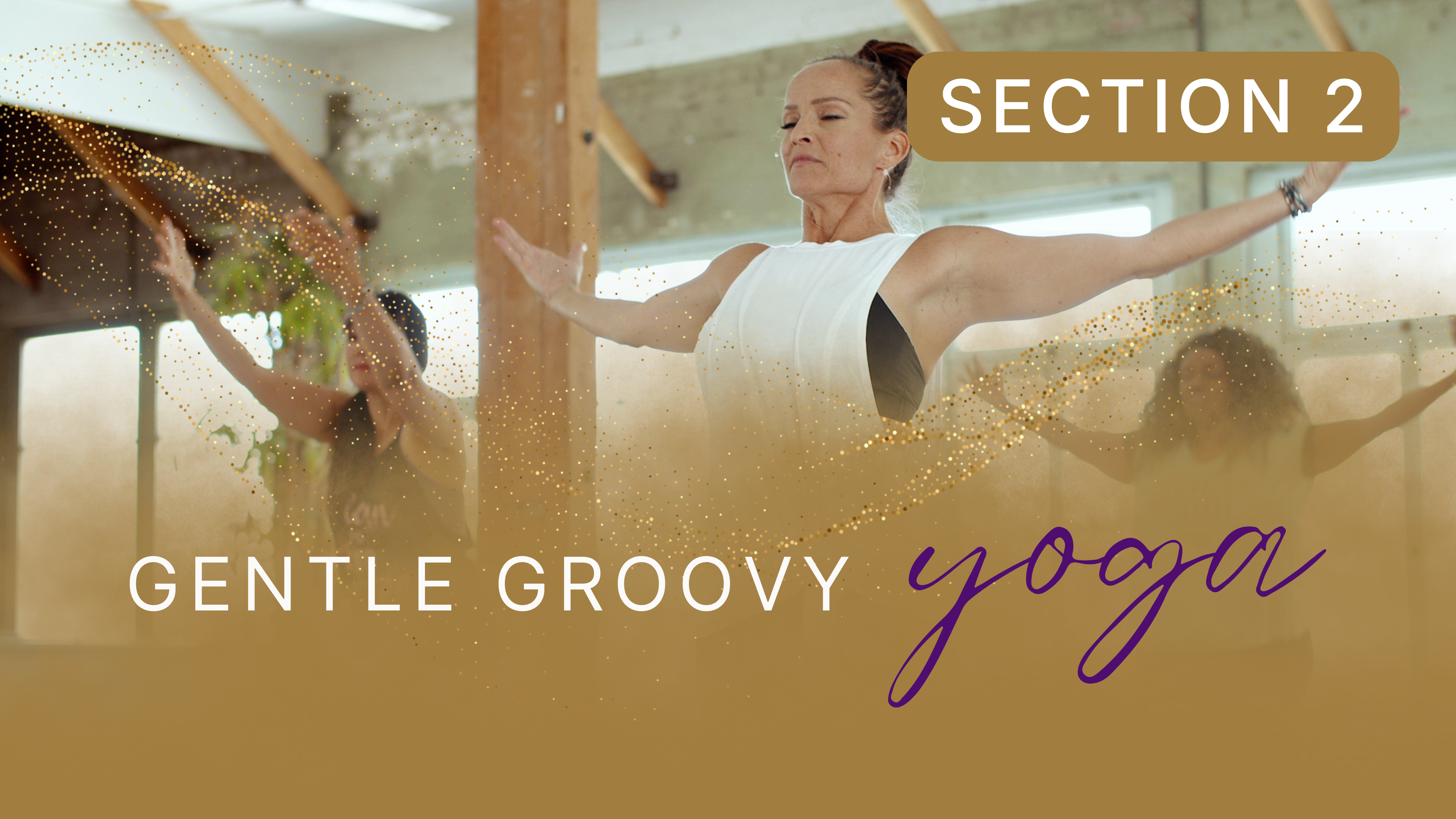 Gentle Groovy Yoga Section 2
