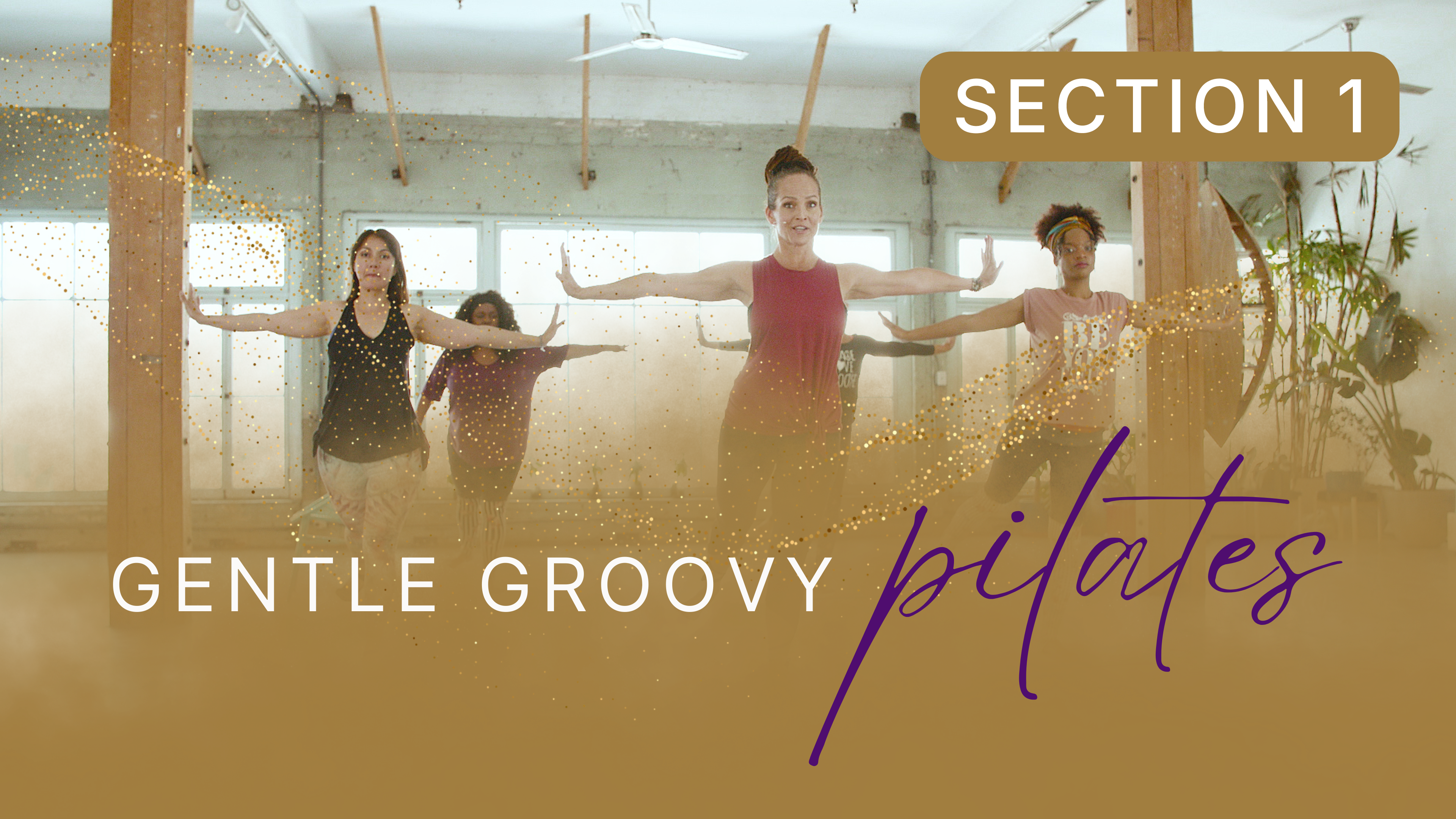 Gentle Groovy Pilates Section 1