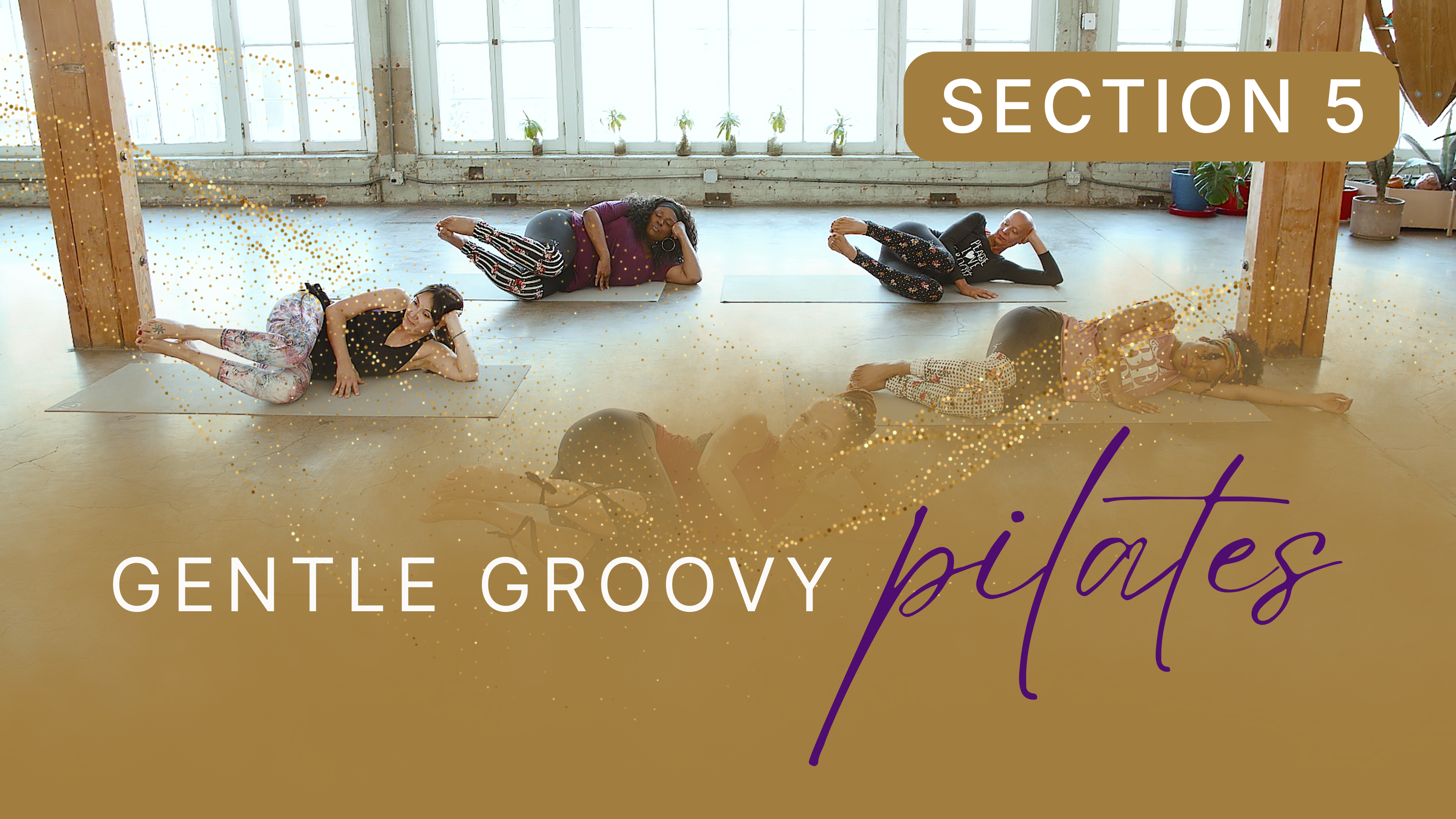 Gentle Groovy Pilates Section 5