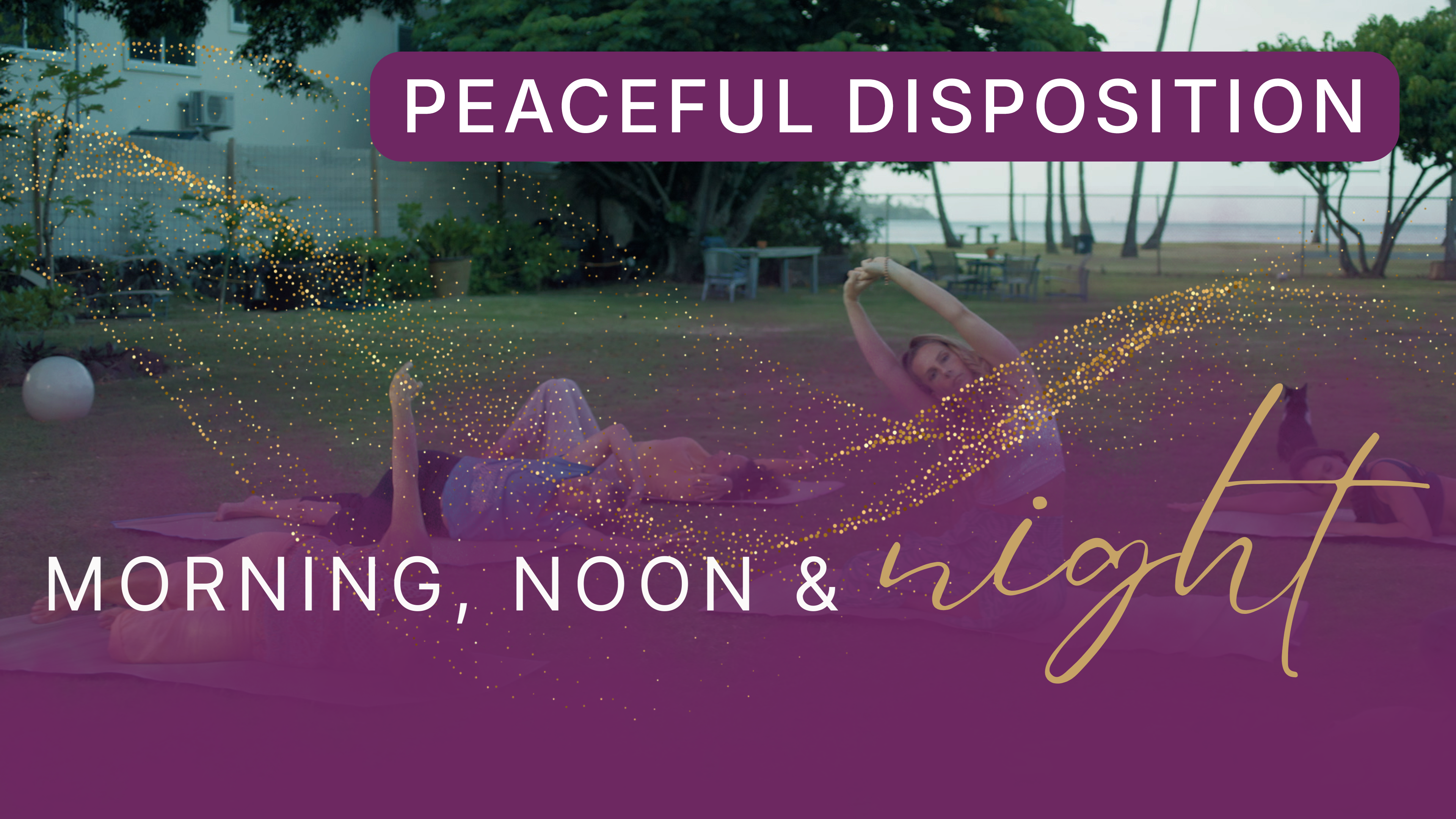 Peaceful Disposition