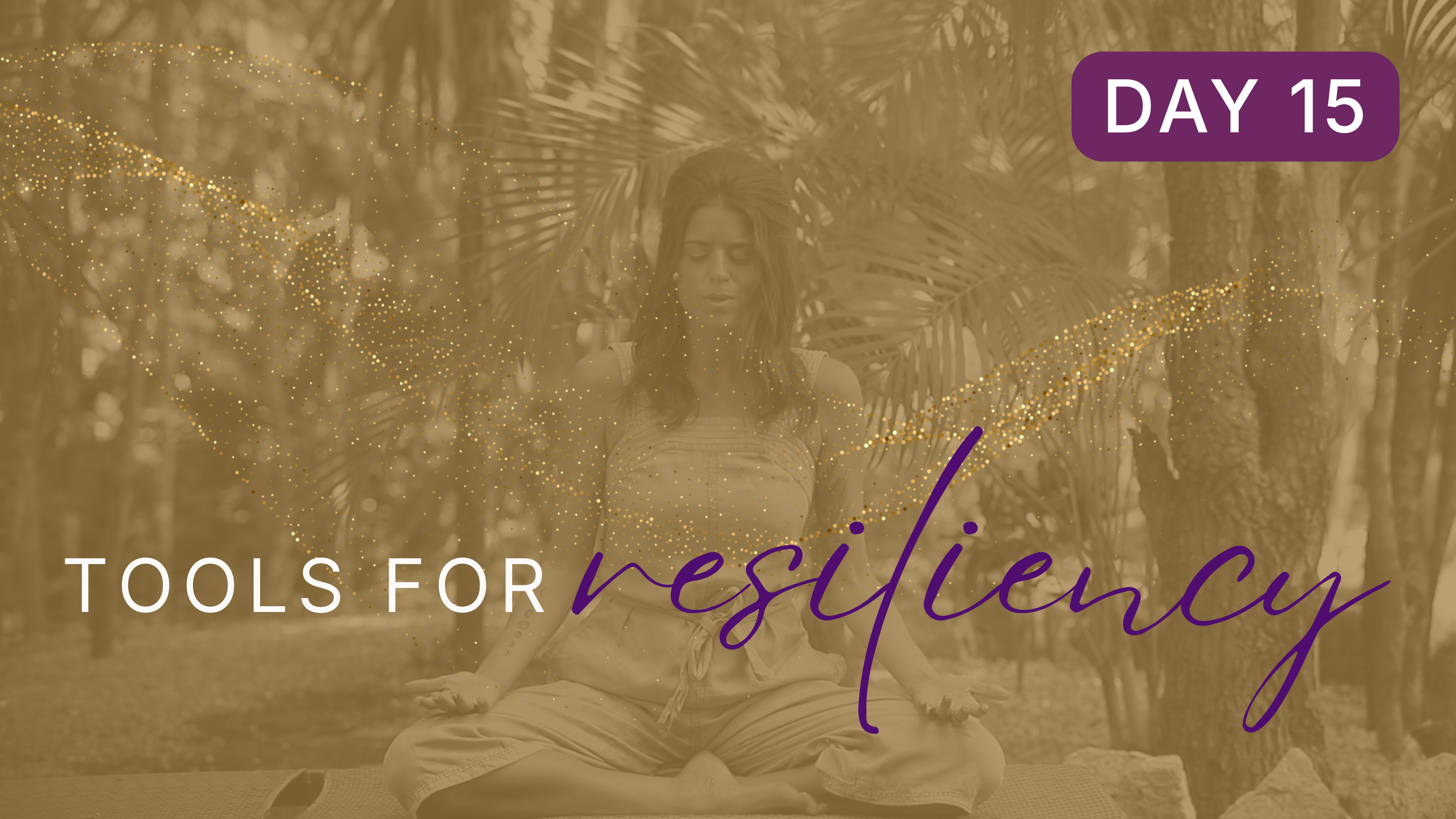 Day 15 - Inner Guidance Practice